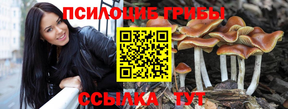 Ростов-на-Дону  Галлюциногенные грибы MAGIC MUSHROOMS  купить   Псилоцибиновые грибы GOLDEN TEACHER  Вход с VPN 