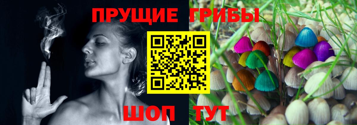 Галлюциногенные грибы Psilocybine cubensis Ростов-на-Дону